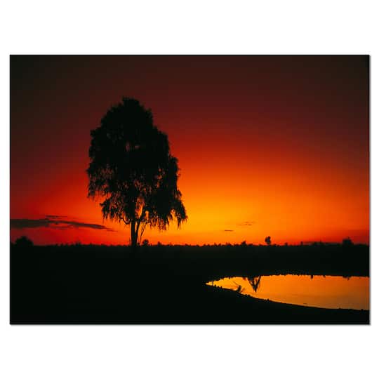 Designart - Sunset View in Tanzania